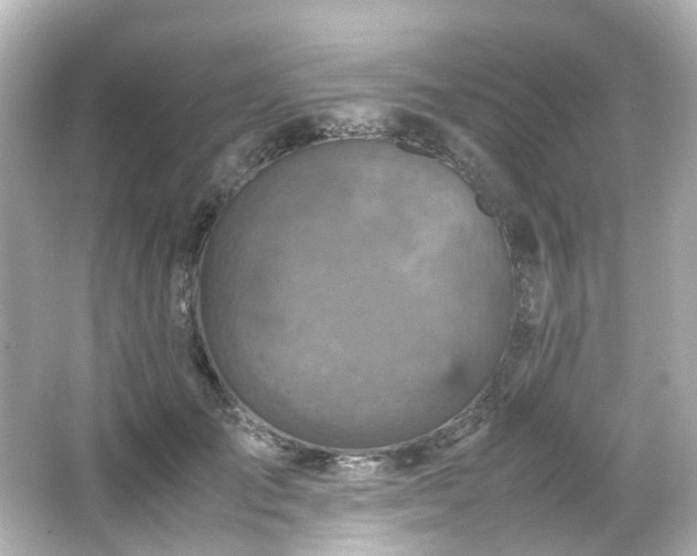 X0000066540701200603201426