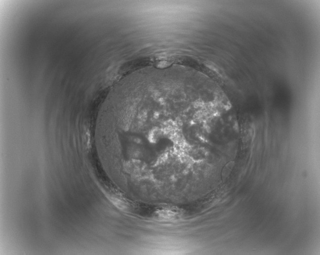 X0000066540703200603201426