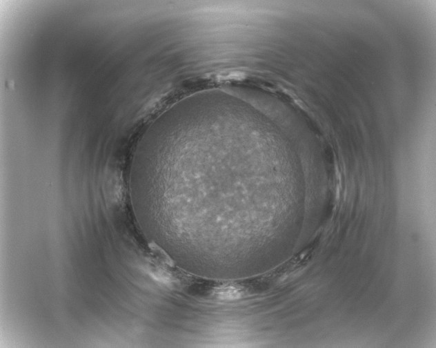 X0000066540704200603201426