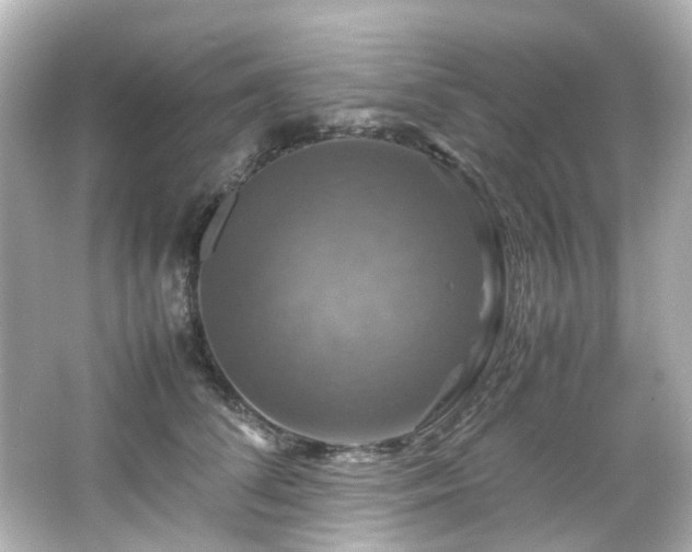 X0000066540708200603201426