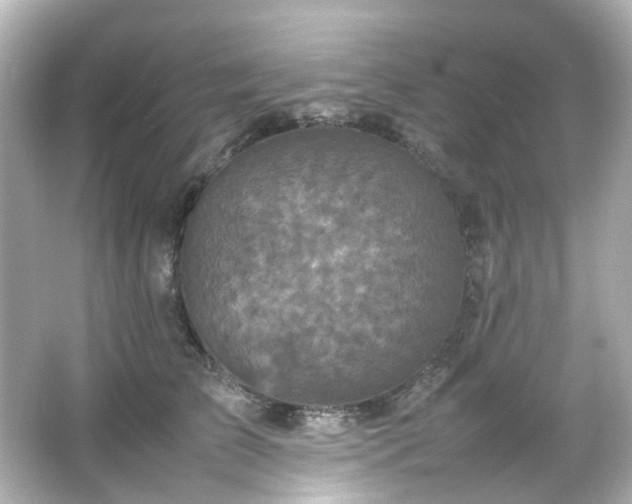 X0000066540709200603201426