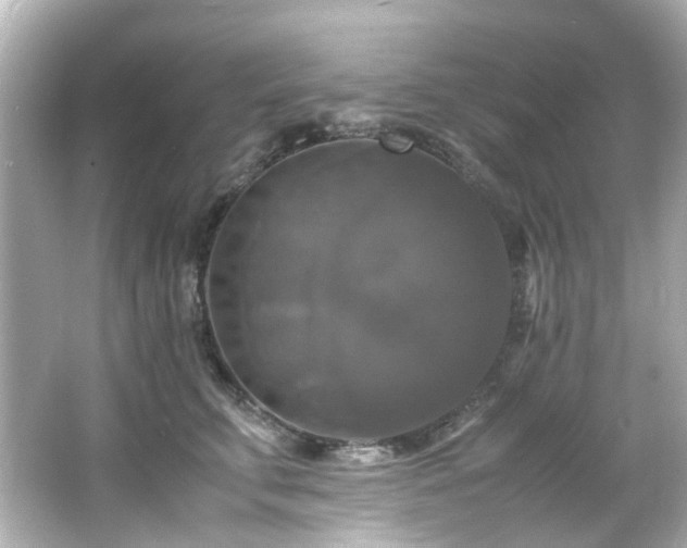 X0000066540711200603201426