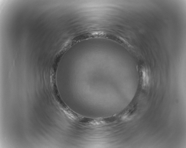 X0000066540712200603201426