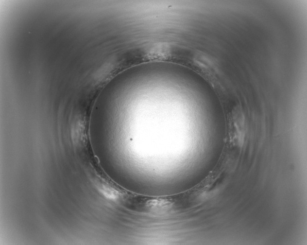 X0000066540714200603201426