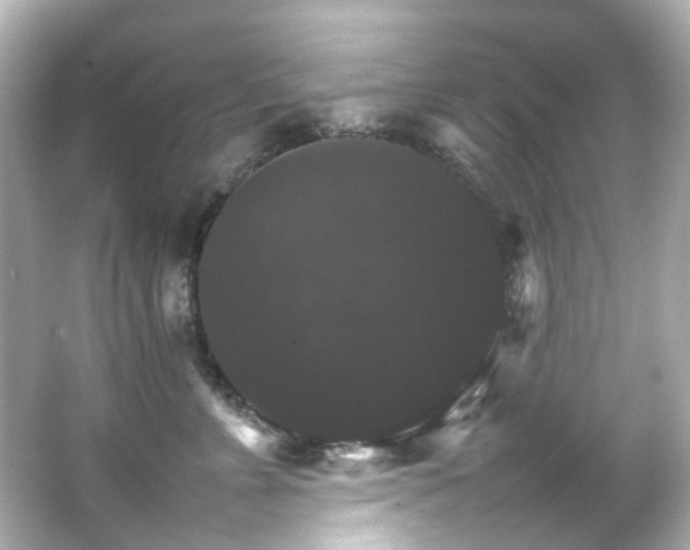 X0000066540715200603201426