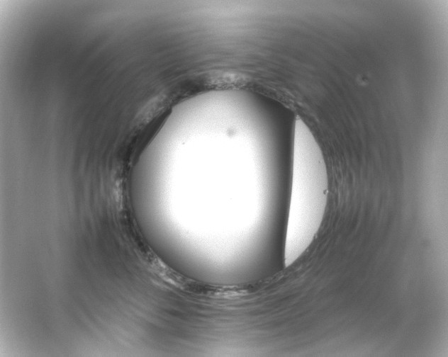 X0000066540716200603201426