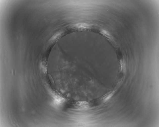 X0000066540719200603201426