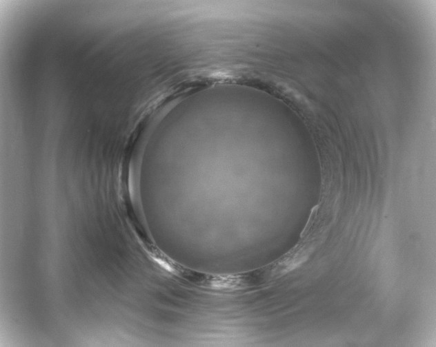 X0000066540720200603201426