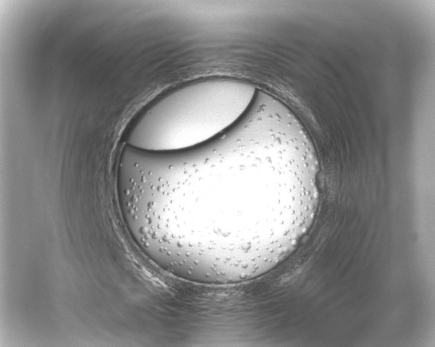 X0000066540721200603201425