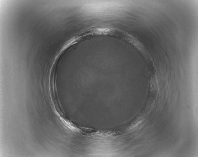 X0000066540722200603201425