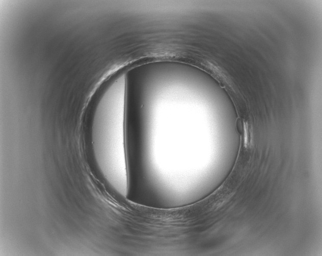 X0000066540723200603201425