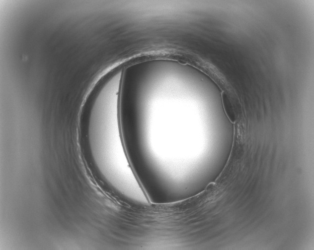 X0000066540724200603201425