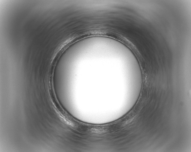 X0000066540725200603201425