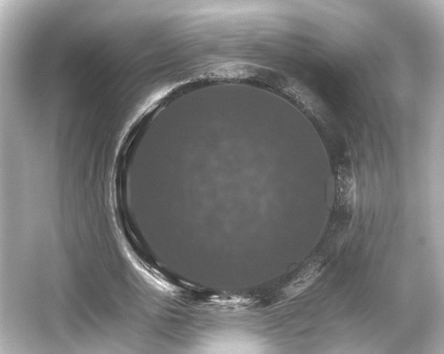 X0000066540726200603201425