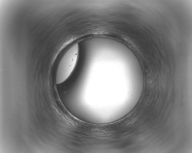 X0000066540727200603201425