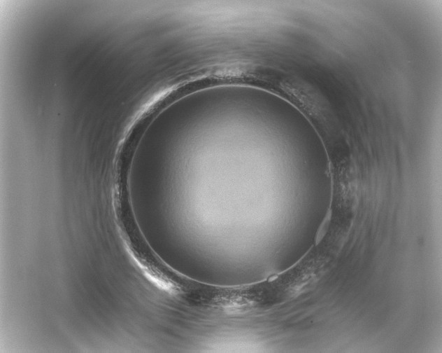 X0000066540728200603201425