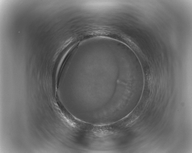 X0000066540729200603201425