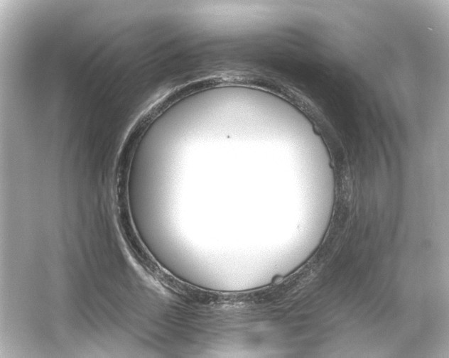 X0000066540730200603201425