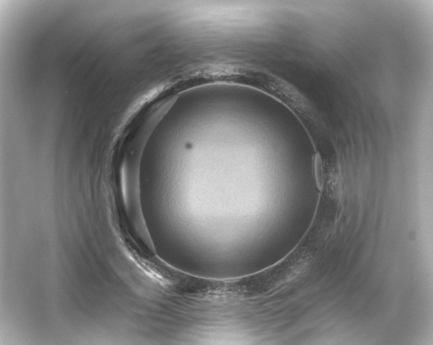 X0000066540732200603201425