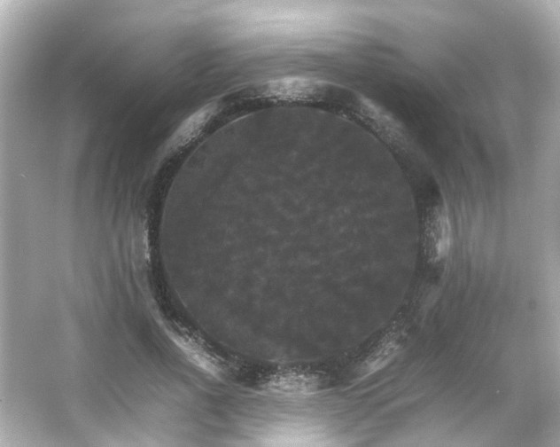 X0000066540734200603201425