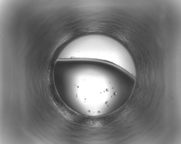 X0000066540735200603201425