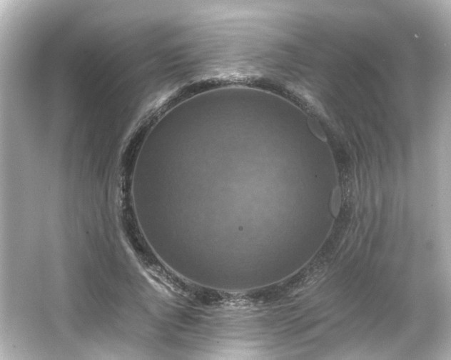 X0000066540736200603201425