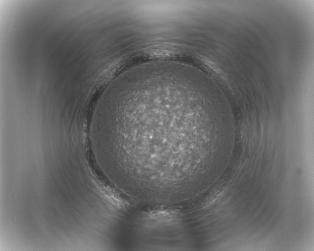 X0000066540737200603201425