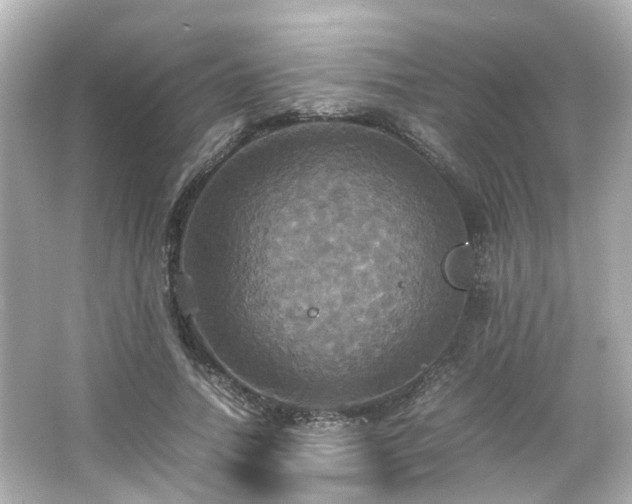 X0000066540738200603201425