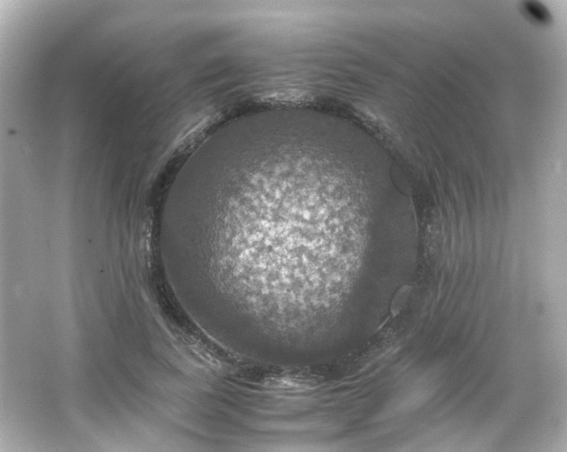 X0000066540739200603201425