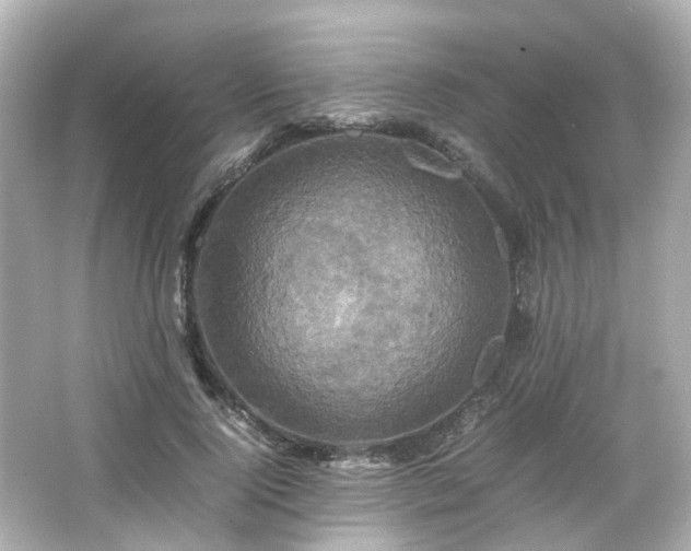 X0000066540740200603201425