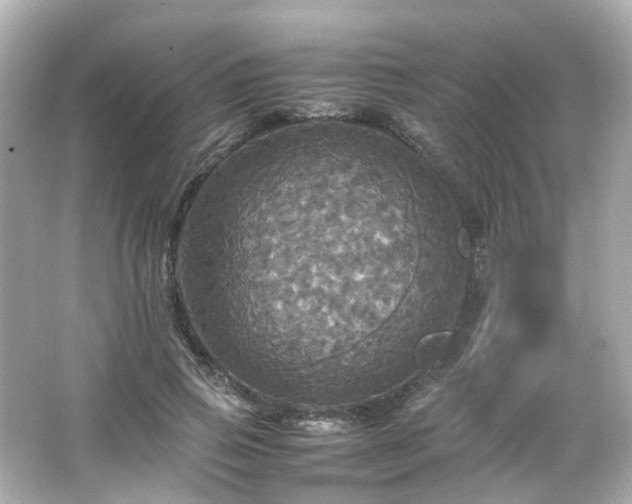 X0000066540741200603201425