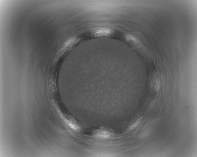 X0000066540743200603201425