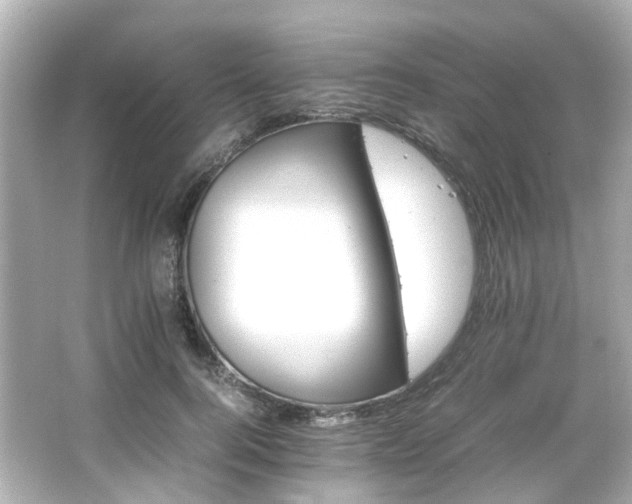 X0000066540744200603201425