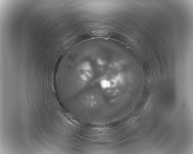 X0000066540745200603201425