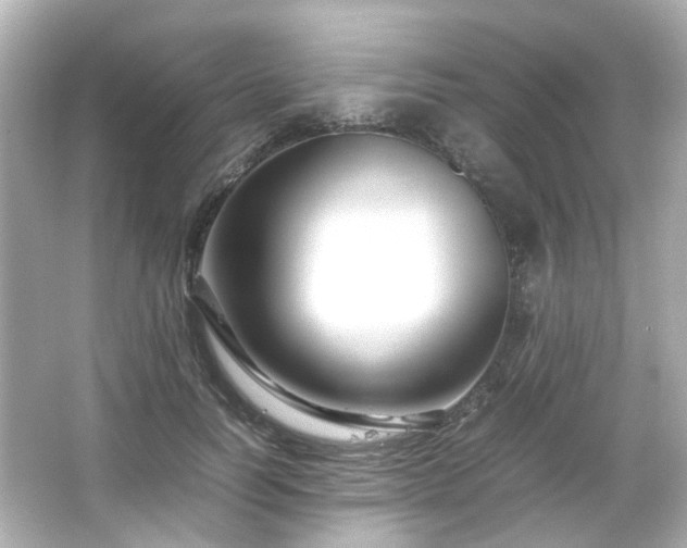 X0000066540746200603201425