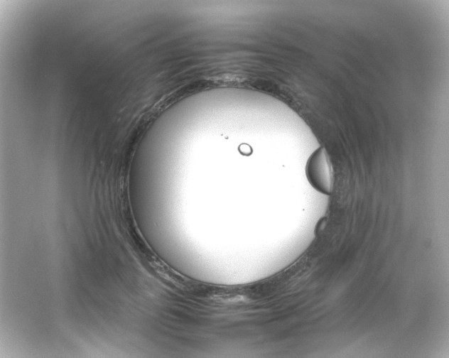 X0000066540747200603201425