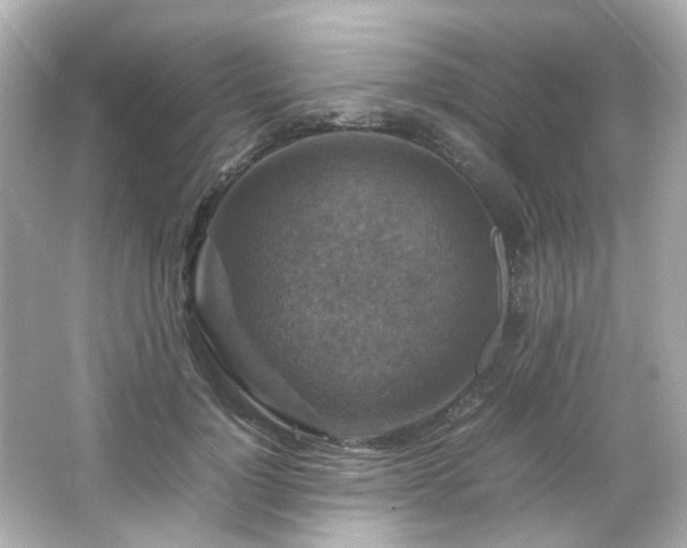 X0000066540748200603201425