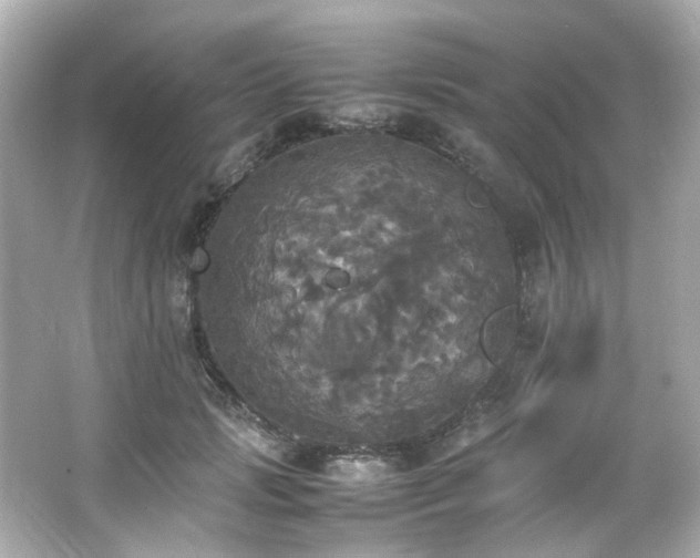 X0000066540749200603201425