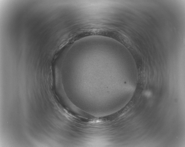 X0000066540750200603201425