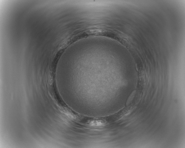 X0000066540751200603201425