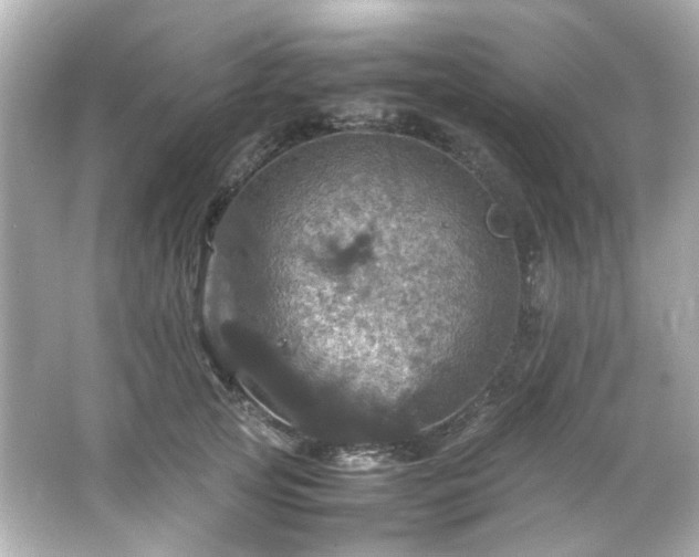 X0000066540753200603201425