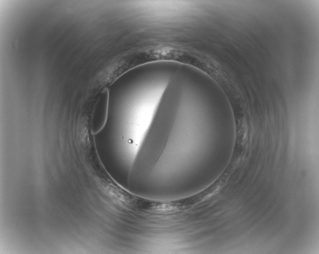 X0000066540754200603201425