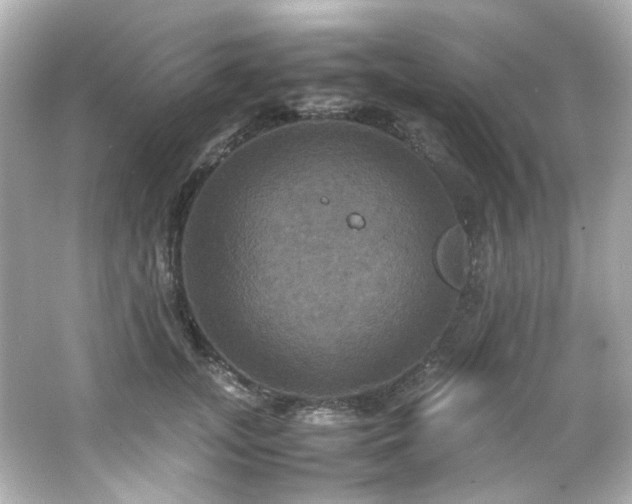 X0000066540755200603201425