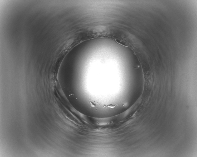 X0000066540756200603201425