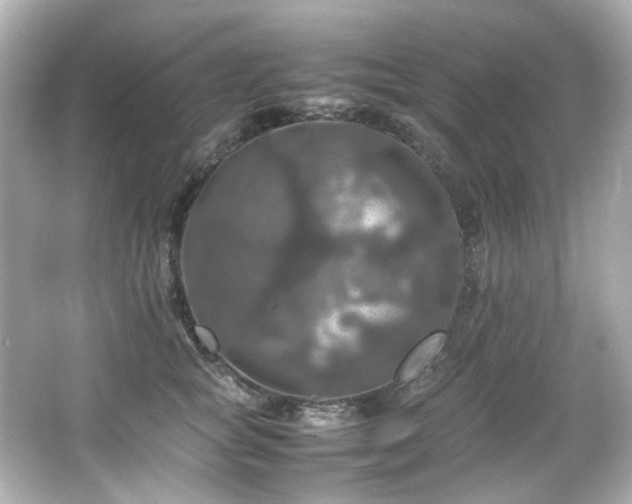 X0000066540757200603201425