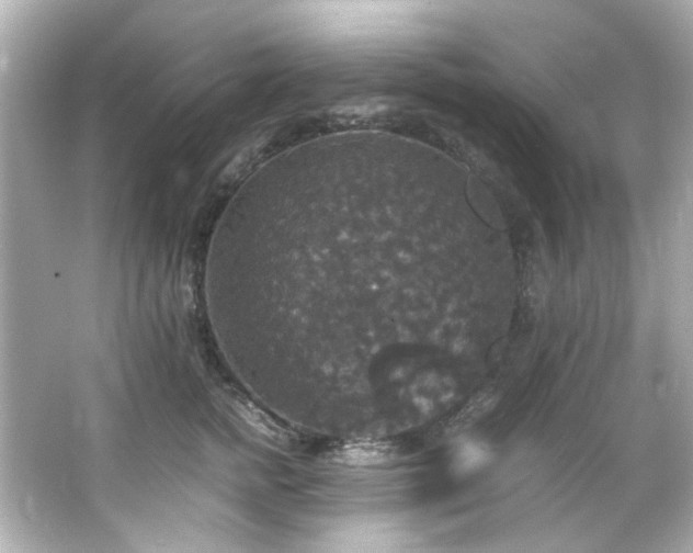 X0000066540758200603201425