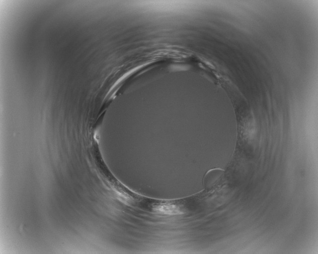 X0000066540759200603201425