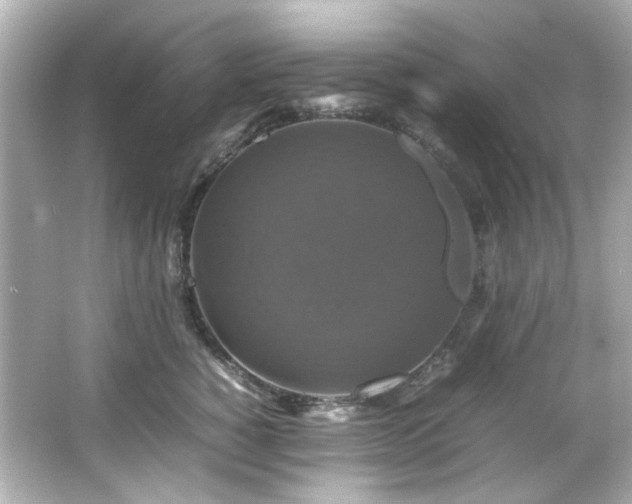 X0000066540760200603201425