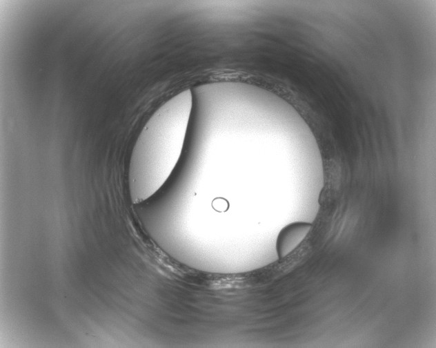 X0000066540761200603201425