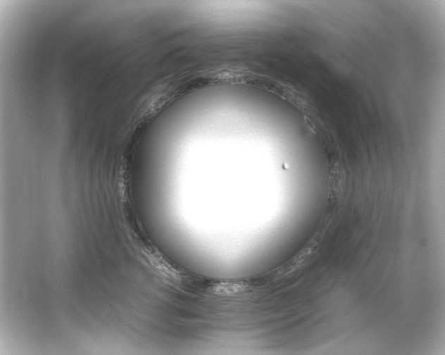 X0000066540762200603201425